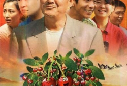 樱桃樱桃电视剧,情感纠葛中的青春岁月