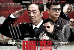 电视剧暗警,潜伏与救赎的生死较量